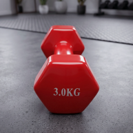 Gantera 3kg (1buc)