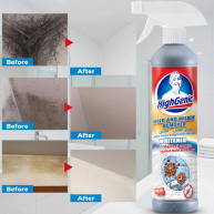 Solutie contra mucegaiului Mold & Mildew Remover HighGenic 500ml