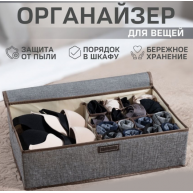 Organizator pentru lenjerie / ciorapi Best