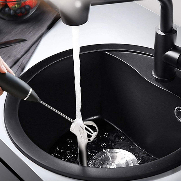 Mixer pentru lapte cu 2 teluri, usb — fotografia 4