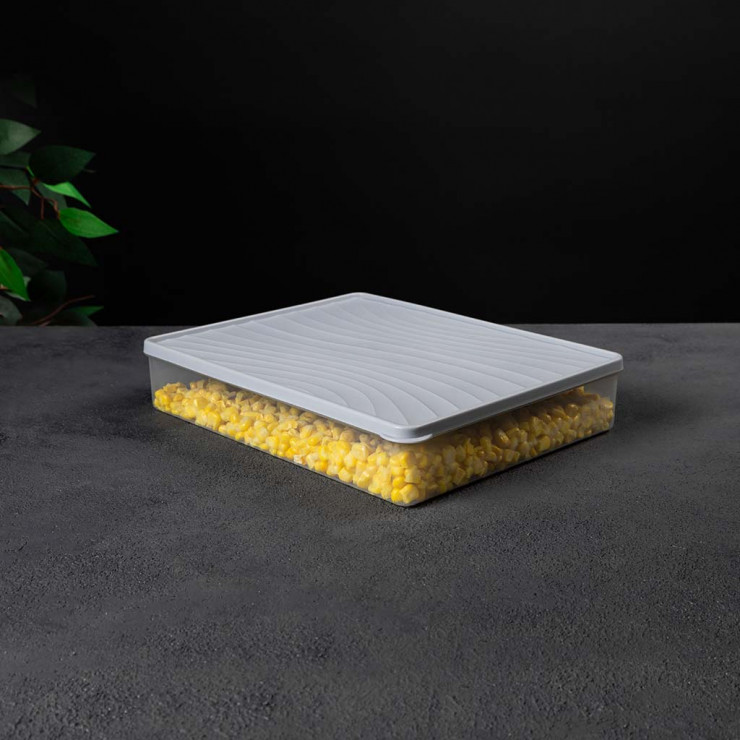 Caserola pentru congelare cu capac 3 L DecoBella