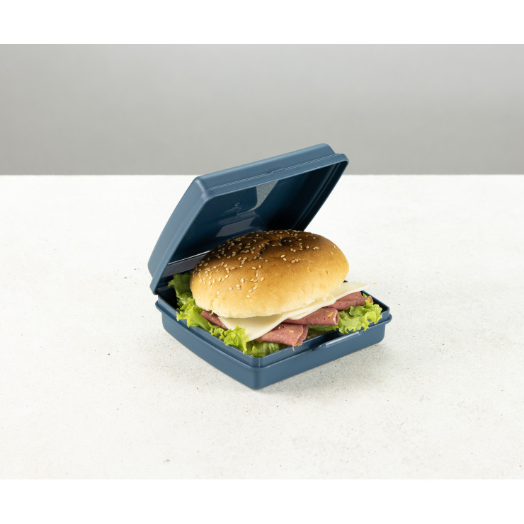 Caserola pentru sandwich To Go DecoBella