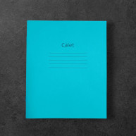 Caiet coperta verde 12foi linia mare 1,см