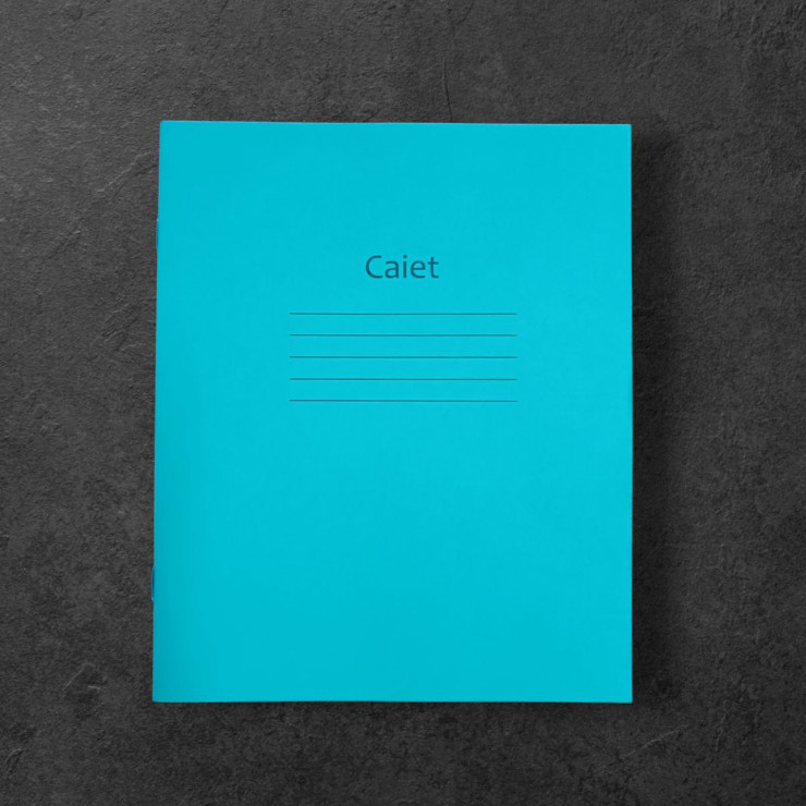 Caiet coperta verde 12foi linia mare 1,см