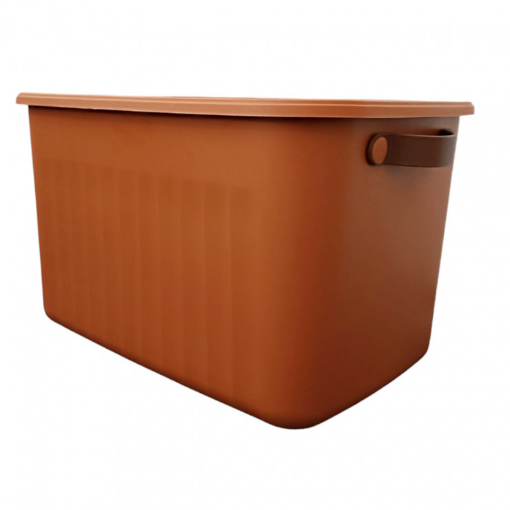 Cutie cu capac Boxsis, 15 Litri