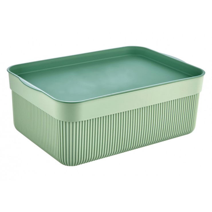 Organizator din plastic Voce, ALESTA, cu capac, 3 L