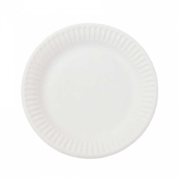Farfurie hirtie de unica folosinta, 230 mm, 20 buc