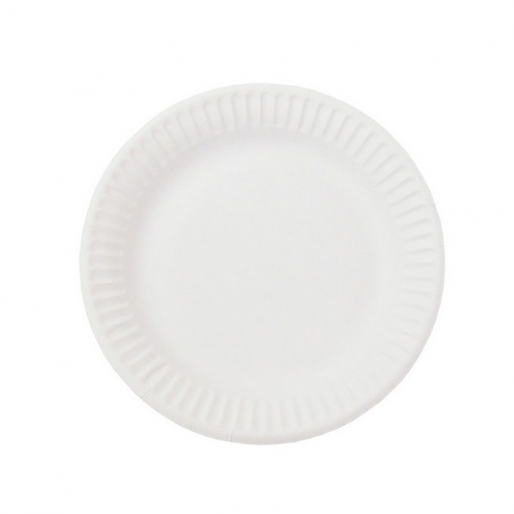 Farfurie hirtie de unica folosinta BIO, 210 mm, 12 buc